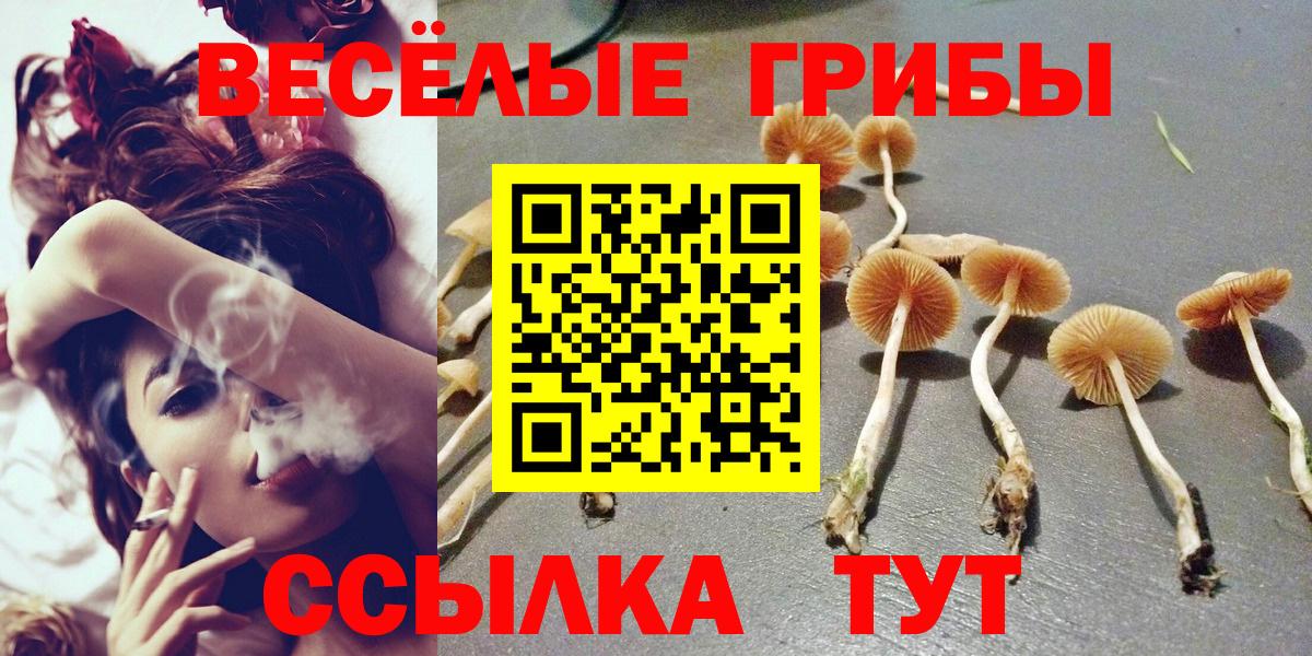 Галлюциногенные грибы GOLDEN TEACHER Тольятти