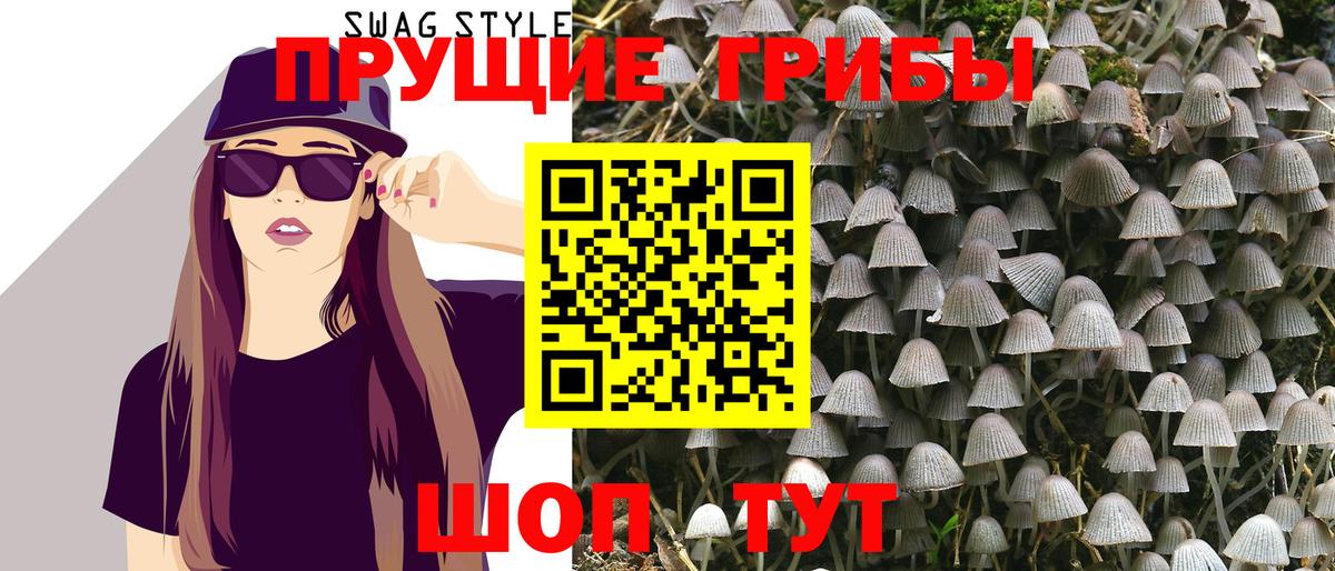 Псилоцибиновые грибы прущие грибы  Вход с VPN  Тольятти 